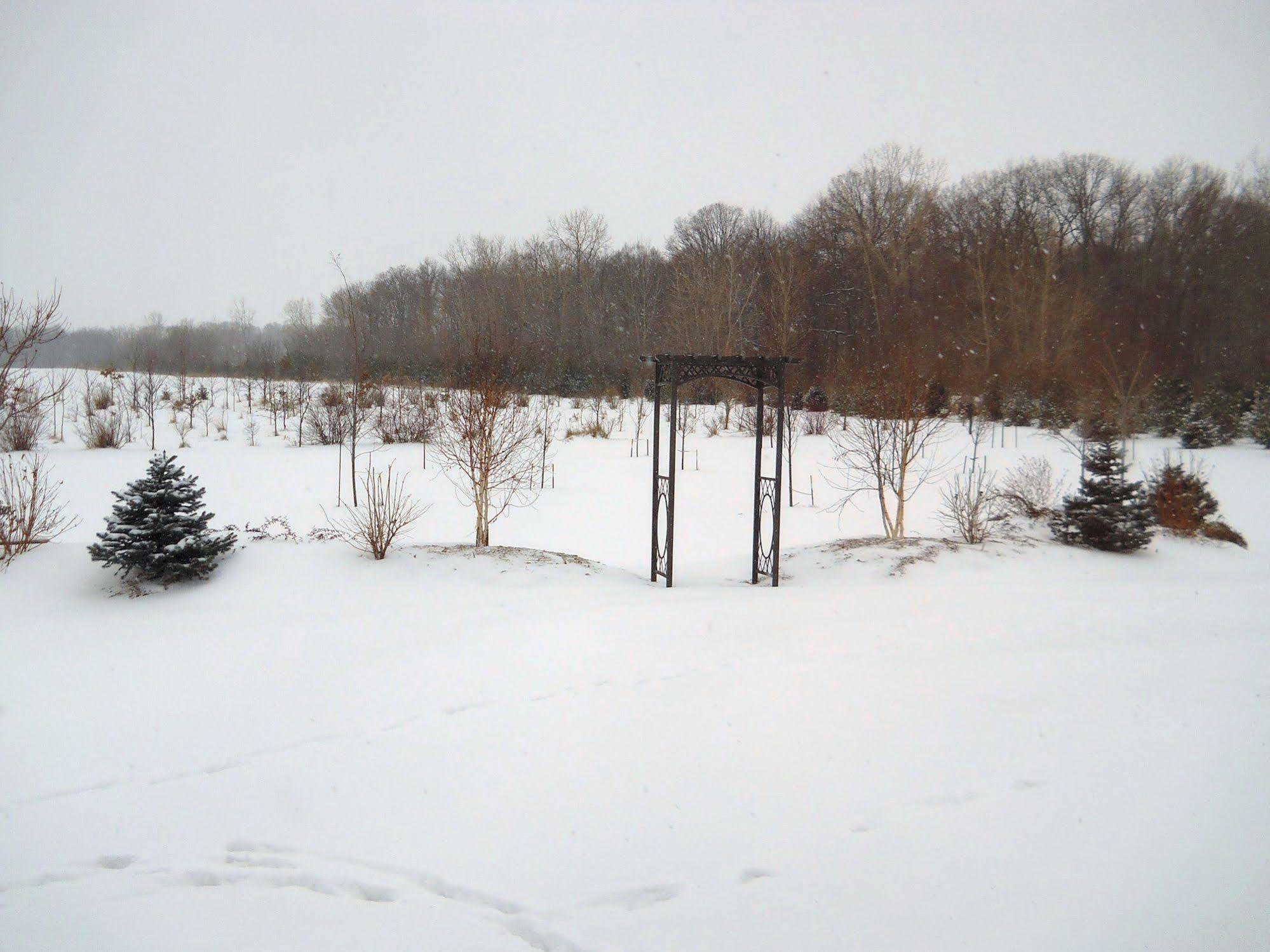 Wenzler'S Landing B&B Wheatley Bagian luar foto
